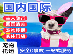 左旗巴彦浩特航空货运国际宠物托运 【国